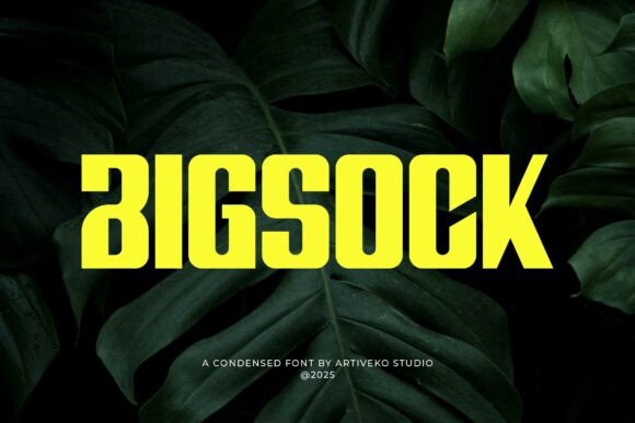 Bigsock Typeface: Bold Sans Serif for Branding