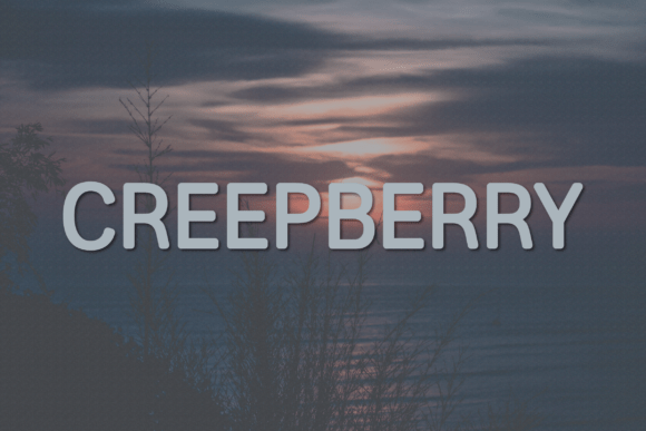 Creepberry: A Modern Sans Serif Typeface for Digital Design