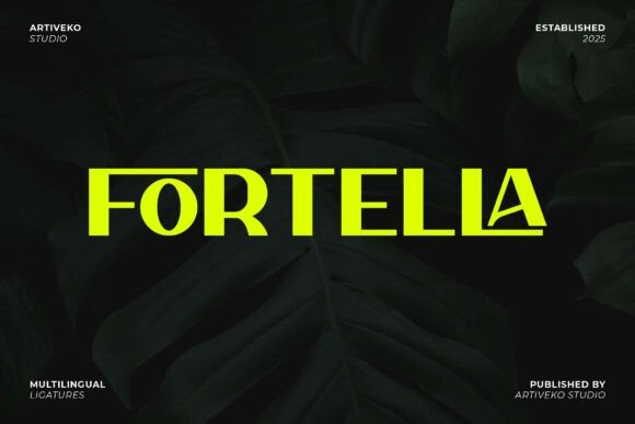 Fortella Typeface: A Modern Sans Serif for Web Design