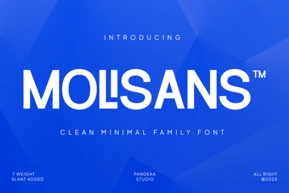 Molisans: The Modern Typeface That Elevates Small Business Brands